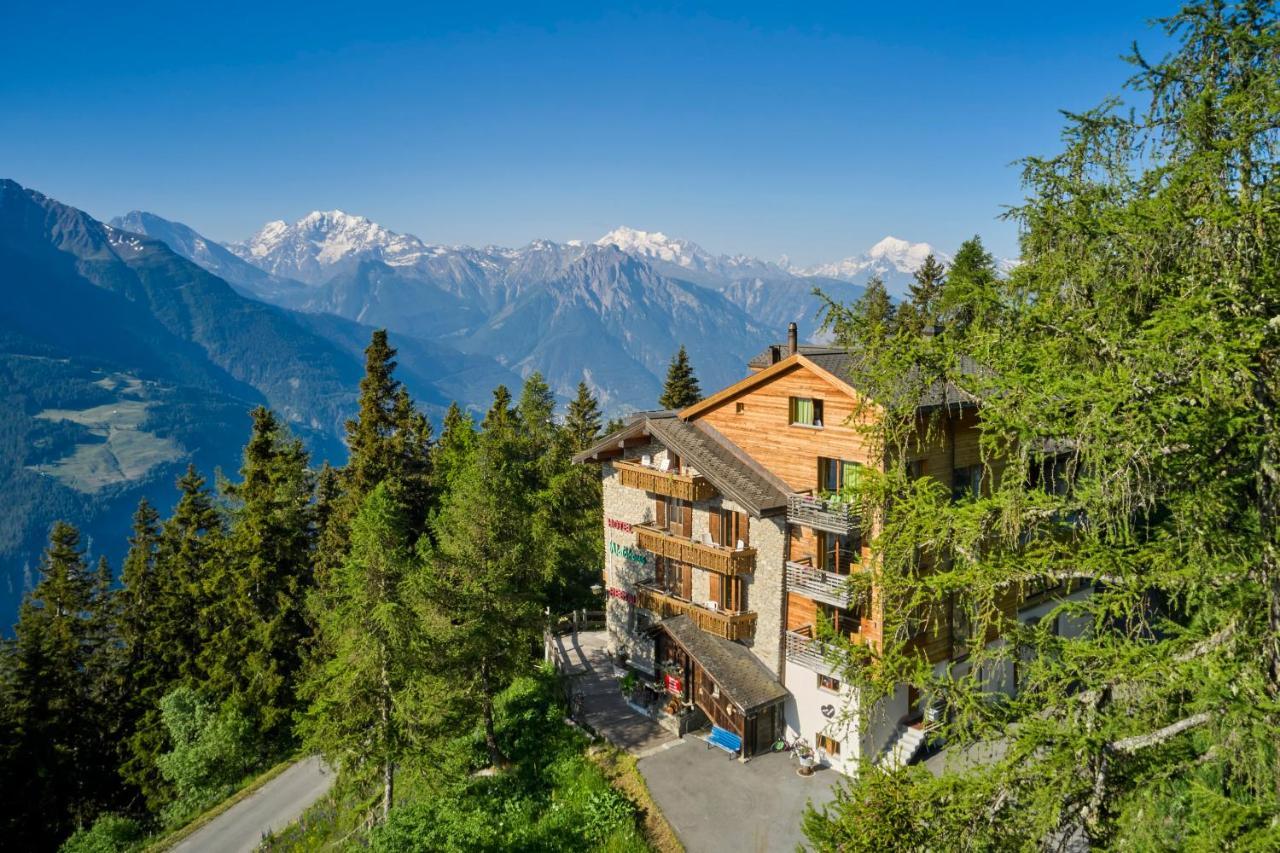 Hotel Waldhaus Bettmeralp Extérieur photo